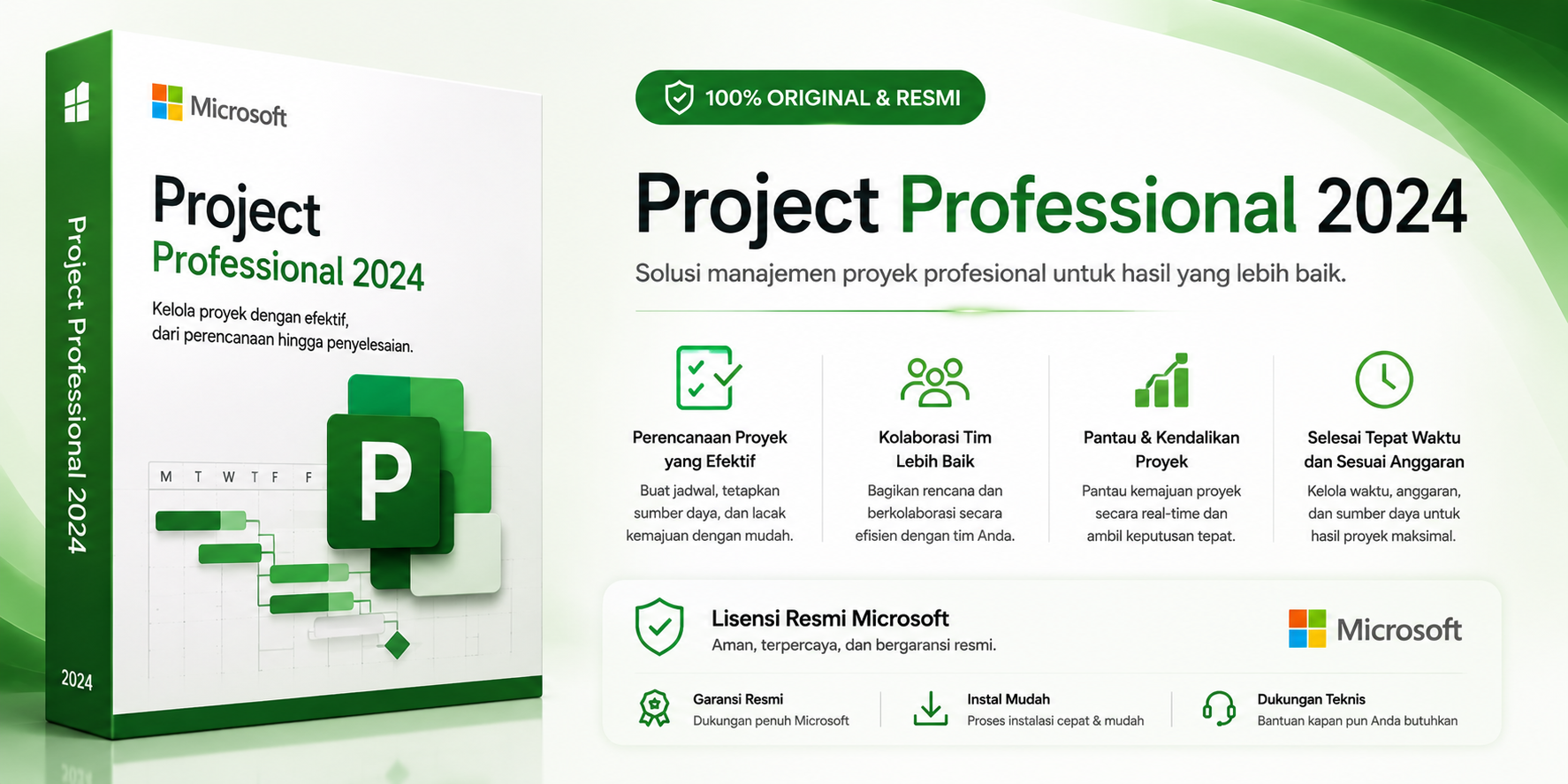 Project Professional 2024